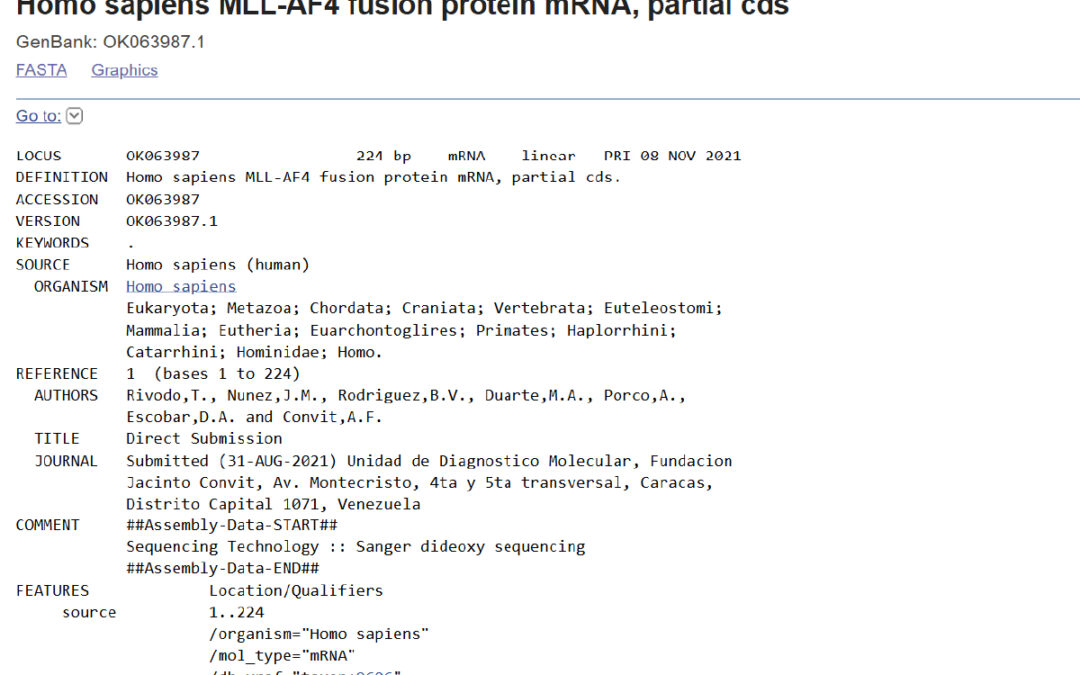 Homo sapiens MLL-AF4 fusion protein mRNA, partial cds