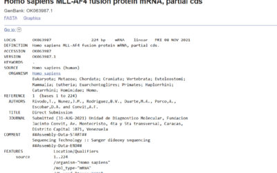 Homo sapiens MLL-AF4 fusion protein mRNA, partial cds