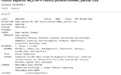 Homo sapiens MLL-AF4 fusion protein mRNA, partial cds