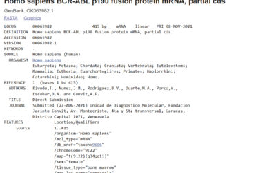 Homo sapiens BCR-ABL p190 fusion protein mRNA, partial cds