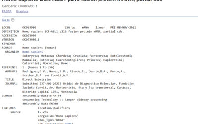 Homo sapiens BCR-ABL1 p210 fusion protein mRNA, partial cds
