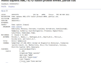 Homo sapiens AML1-ETO fusion protein mRNA, partial cds
