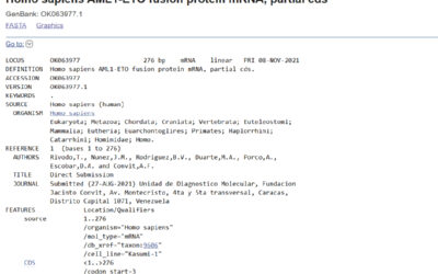 Homo sapiens AML1-ETO fusion protein mRNA, partial cds