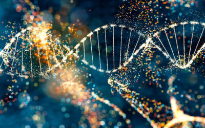 Homo sapiens E2A-PBX1 fusion protein mRNA, partial cds
