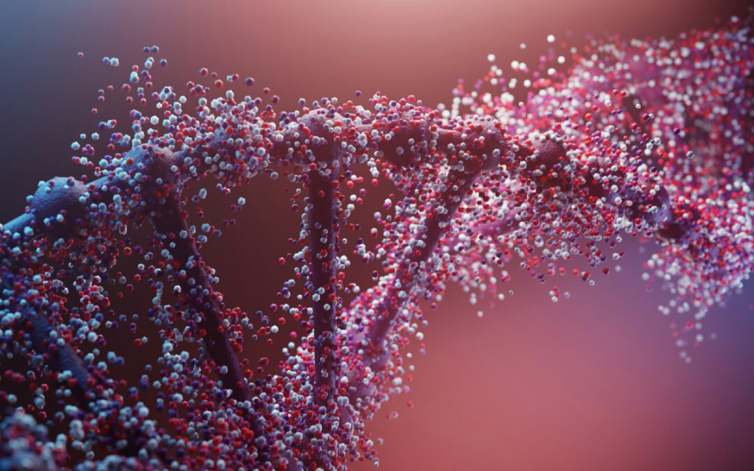 Homo sapiens BCR/ABL1 e1a2 fusion protein mRNA, partial cds (MH743144)
