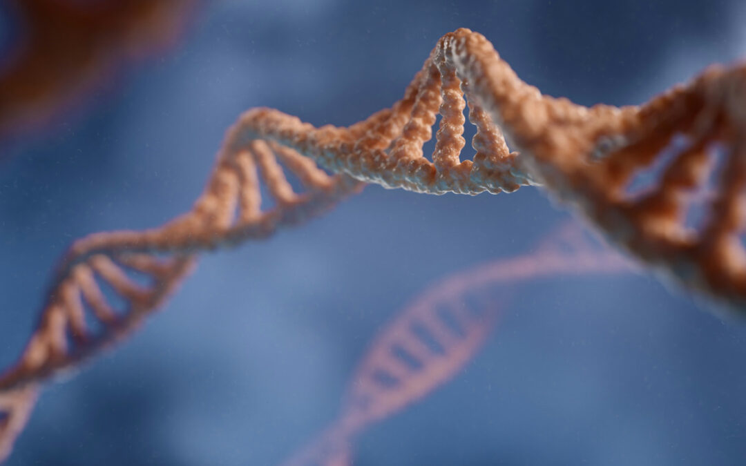 Homo sapiens ETV6-RUNX1 fusion protein mRNA, partial cds (MH401092)