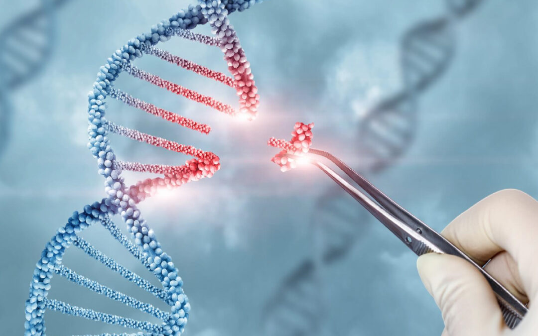 Homo sapiens AML1-ETO fusion protein mRNA, partial cds