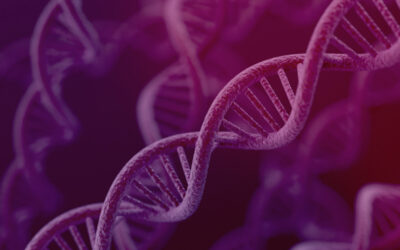 Homo sapiens E2A-PBX1 fusion protein mRNA, partial cds