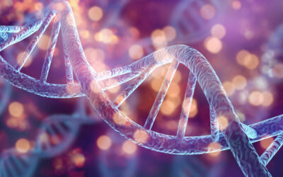 Homo sapiens PML-RARA fusion protein mRNA, partial cds