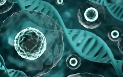 Homo sapiens BCR-ABL1 p210 fusion protein mRNA, partial cds