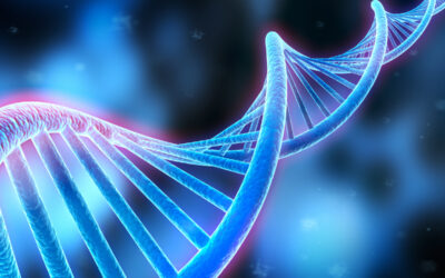 Homo sapiens BCR-ABL p190 fusion protein mRNA, partial cds