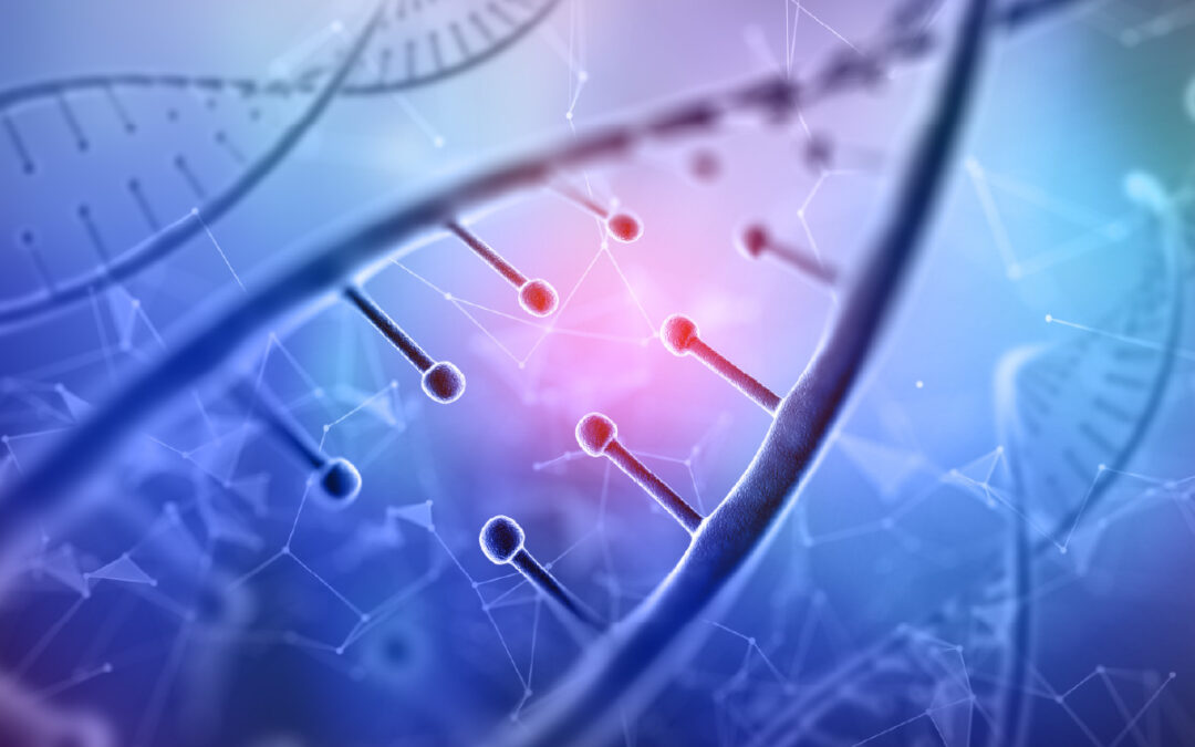Homo sapiens BCR-ABL p210 fusion protein mRNA, partial cds (OL657224)
