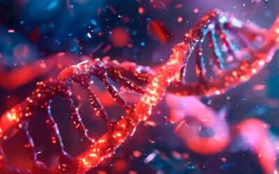 Homo sapiens MLL-AF4 fusion protein mRNA, partial cds