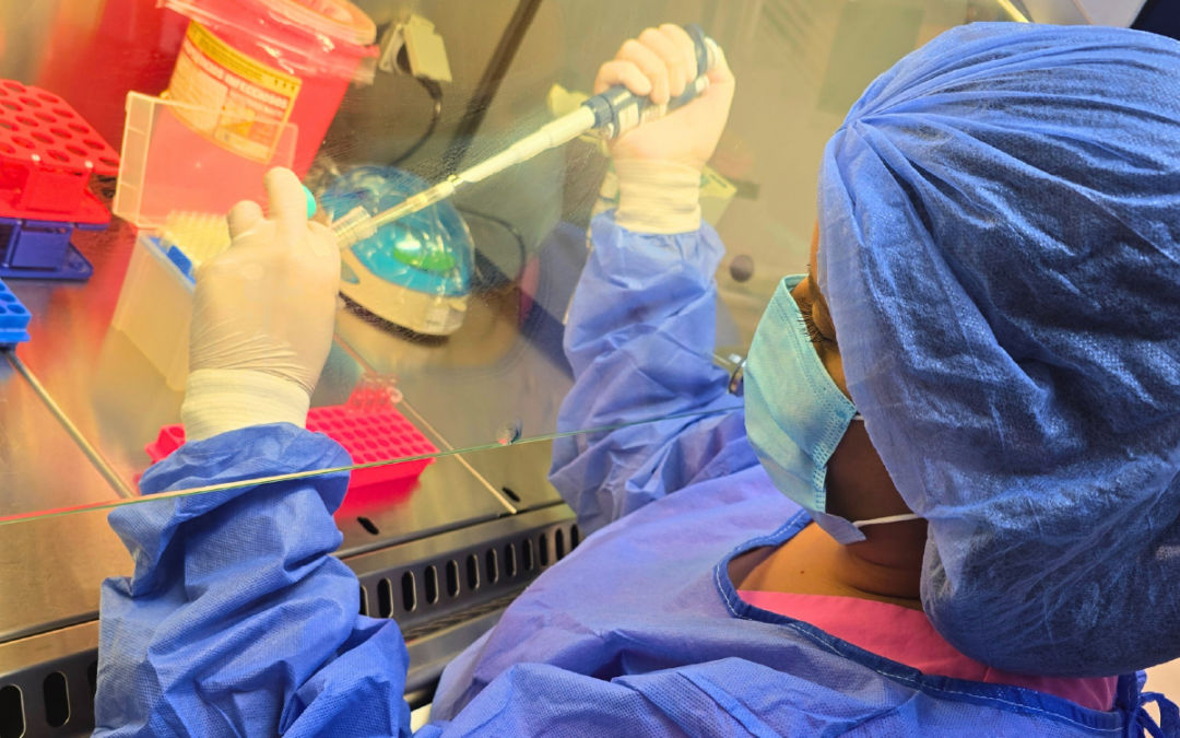 2025: Un año de consolidación hacia el futuro