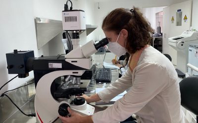 Boletín: Promoviendo Valores a Través de la Ciencia