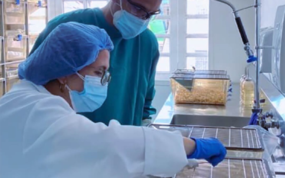 Nueva publicación científica en el desarrollo de ConvitVax