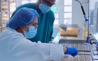 Nueva publicación científica en el desarrollo de ConvitVax