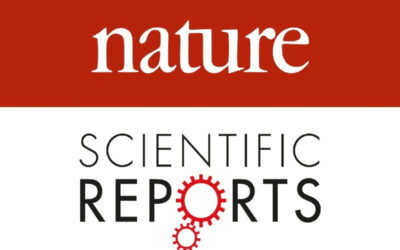 Toxicity evaluation of ConvitVax breast cancer immunotherapy